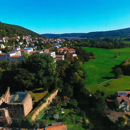 Burg-mühle Gelnhausen