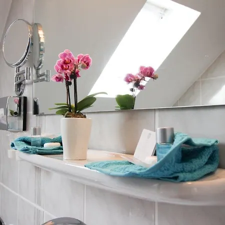 Hotel Burg-muhle Gelnhausen