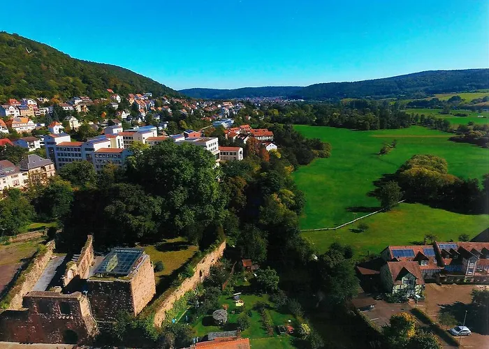 Burg-muehle Gelnhausen
