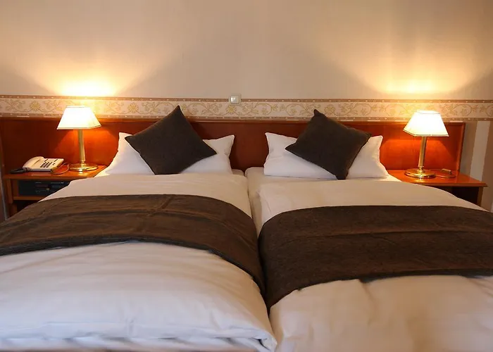 Burg-muehle Gelnhausen